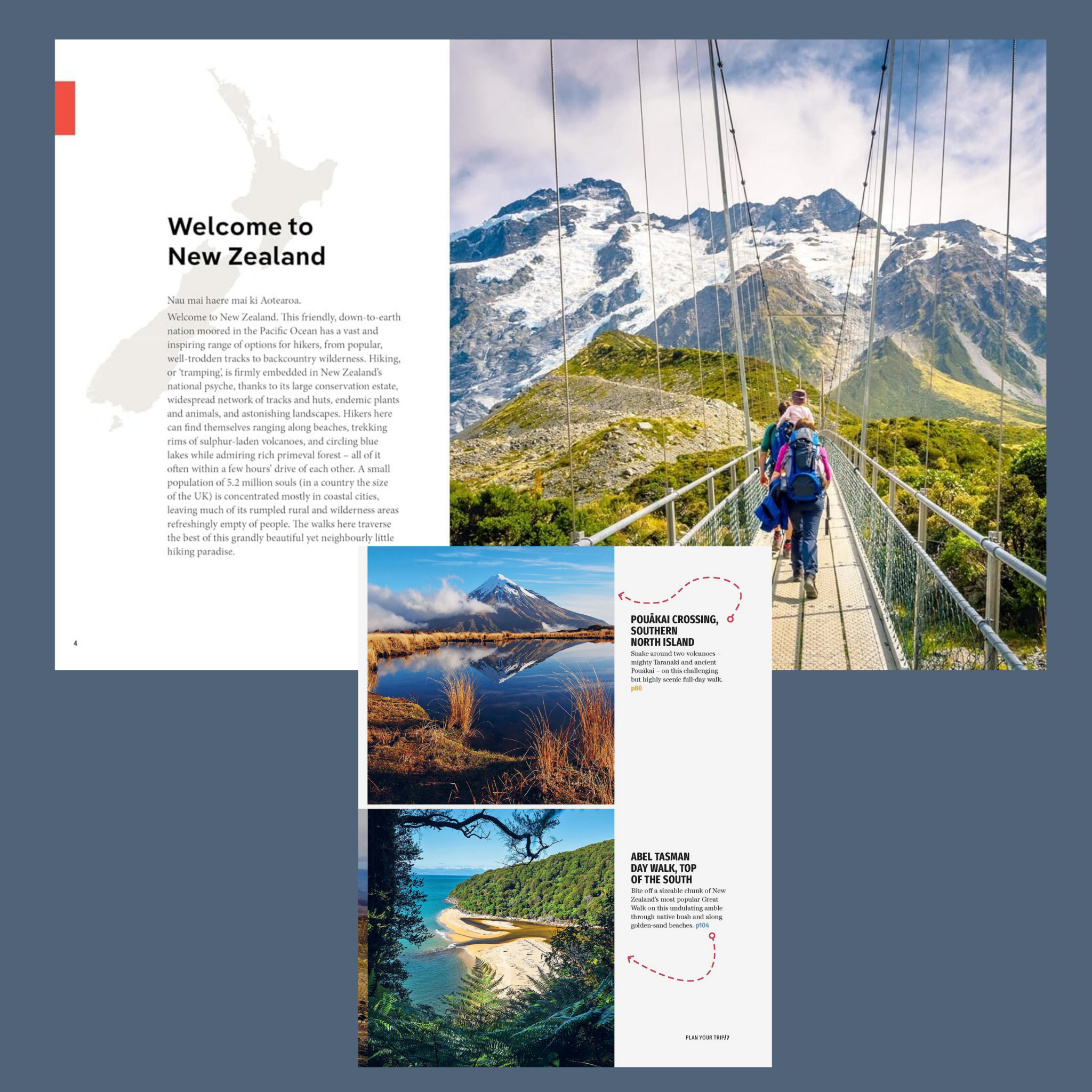 Lonely Planet - Best Day Walks New Zealand Volume 2 - The Flower Crate