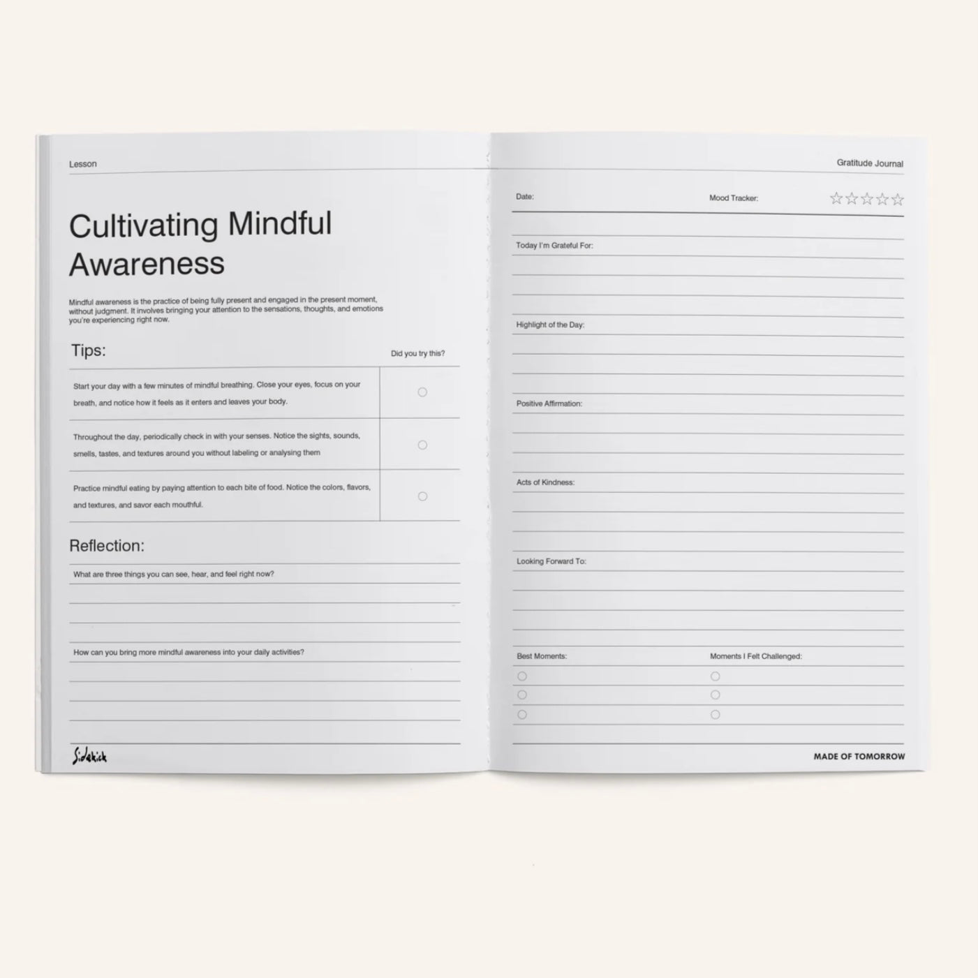 Made of Tomorrow - Sidekick Journal, Gratitude Journal - The Flower Crate