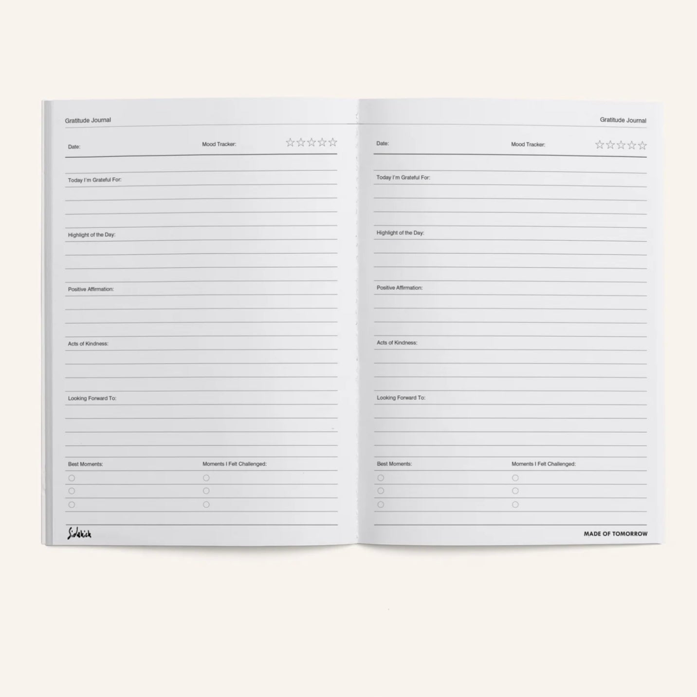 Made of Tomorrow - Sidekick Journal, Gratitude Journal - The Flower Crate