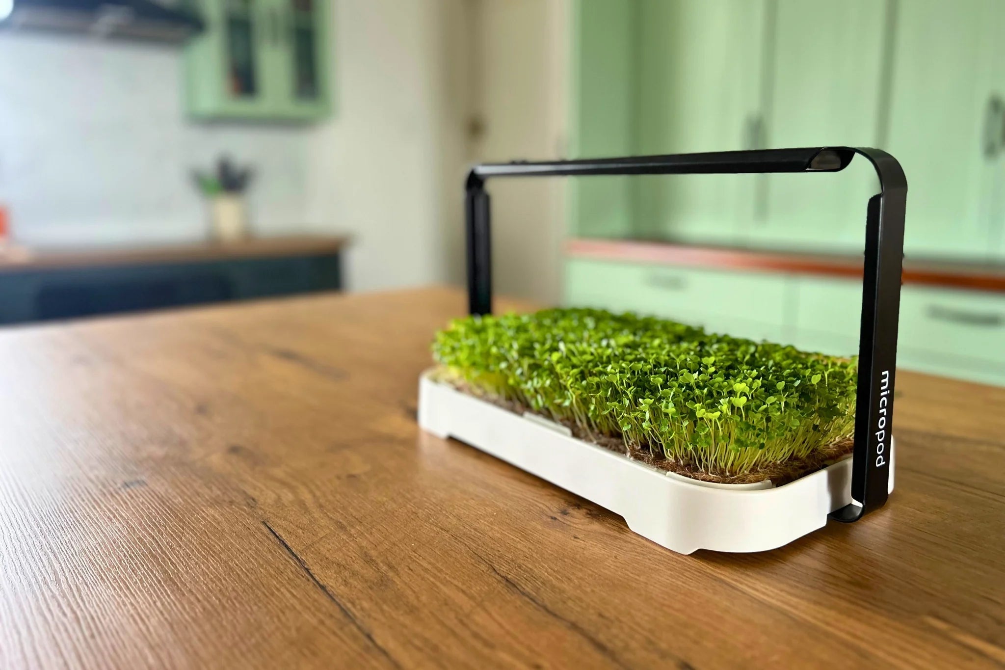 Micropod - Micro Garden Kit - The Flower Crate