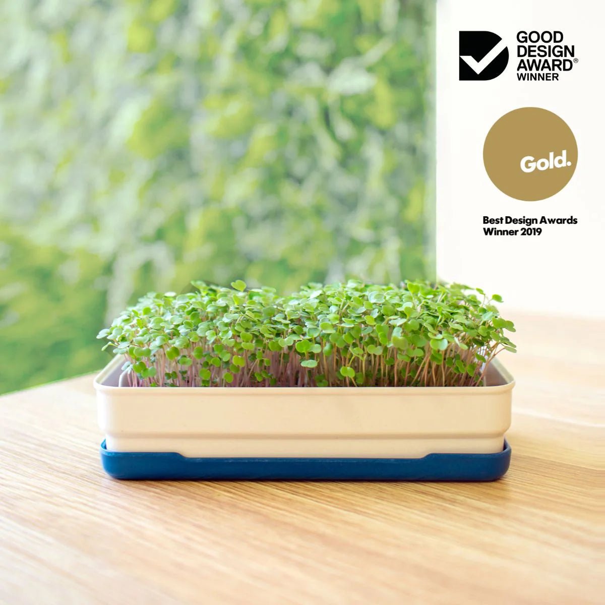 Micropod - Starter Kit, New & Improved! - The Flower Crate