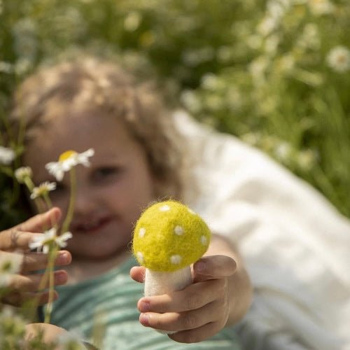 Muskhane - Dotty mushroom, Small - The Flower Crate