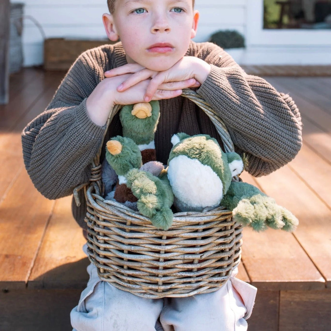 Nana Huchy - Finley the Frog - The Flower Crate