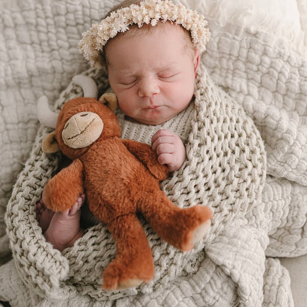 Nana Huchy - Henry The Highland Cow Rattle - The Flower Crate