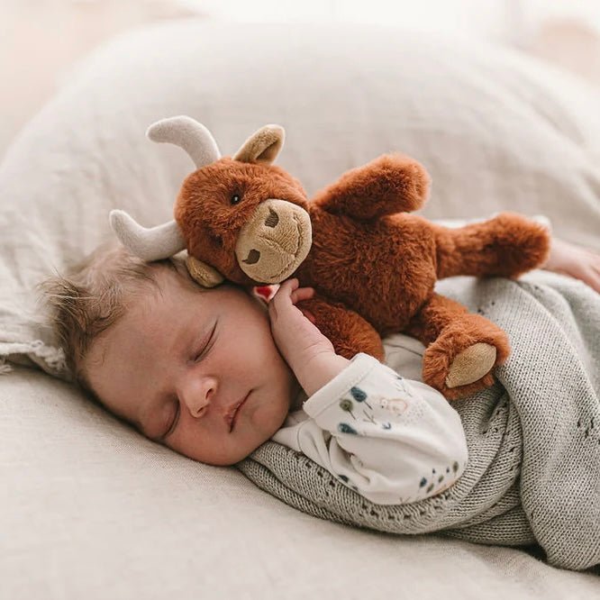 Nana Huchy - Henry The Highland Cow Rattle - The Flower Crate