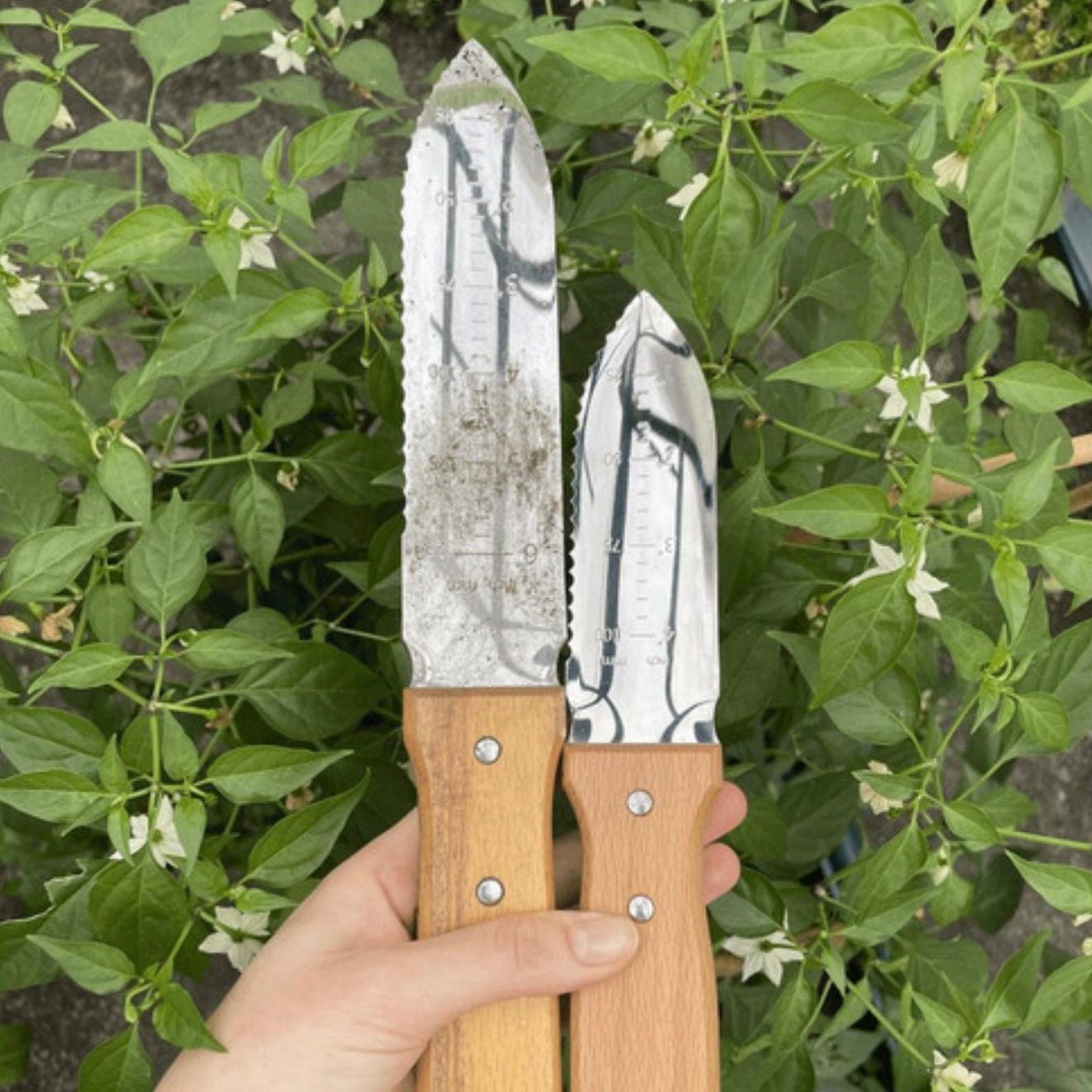 Nisaku - Hori Hori Weeding Knife - The Flower Crate
