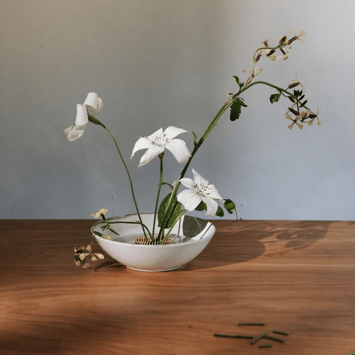 Niwaki - Extra Large Kenzan - The Flower Crate