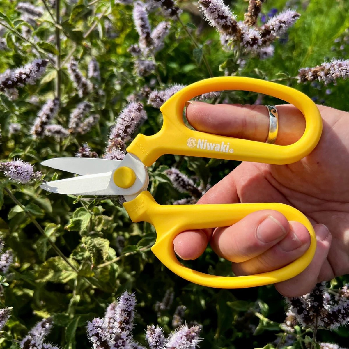 Niwaki - Sakagen Flower Scissors - The Flower Crate