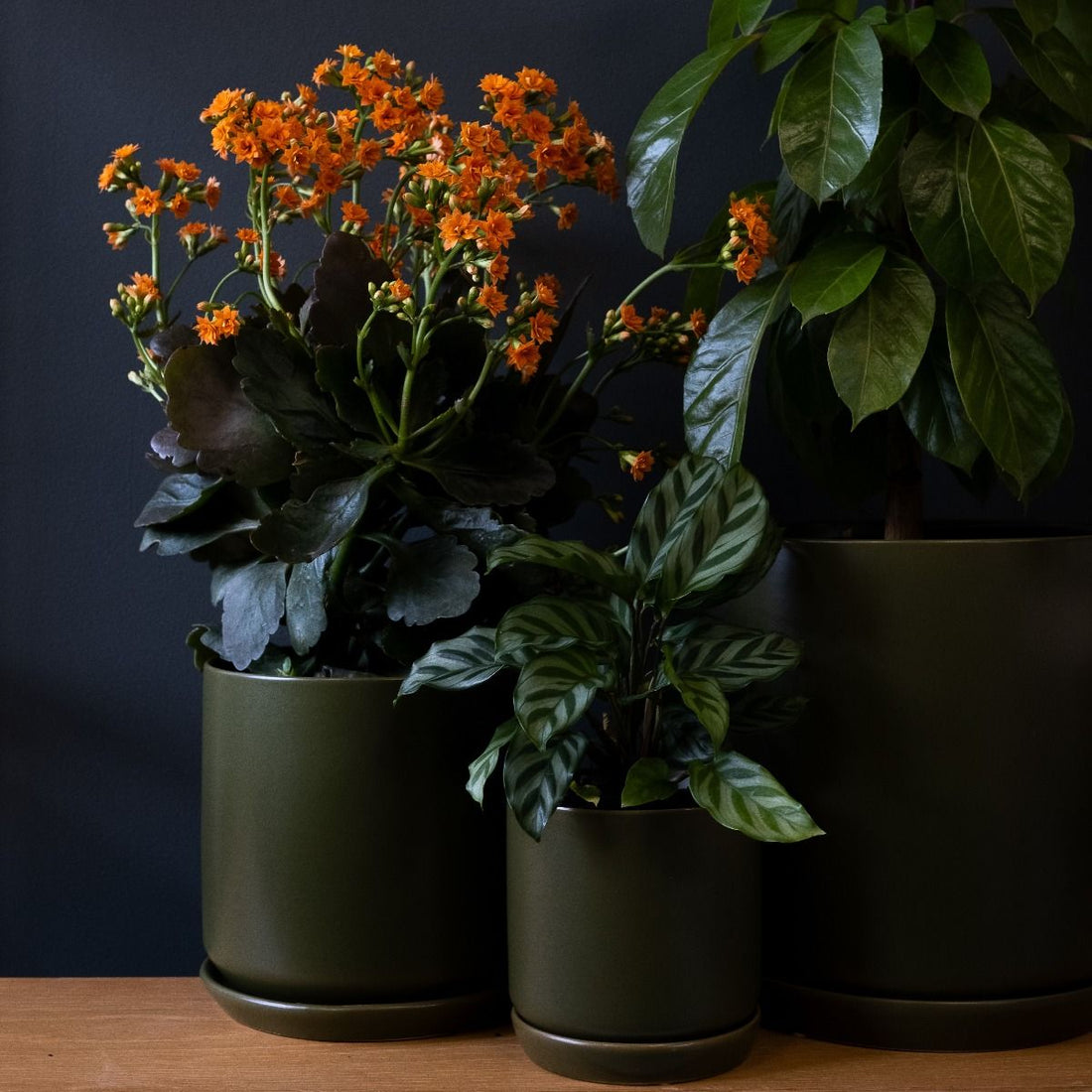Oslo Planter - Avocado, Medium - The Flower Crate
