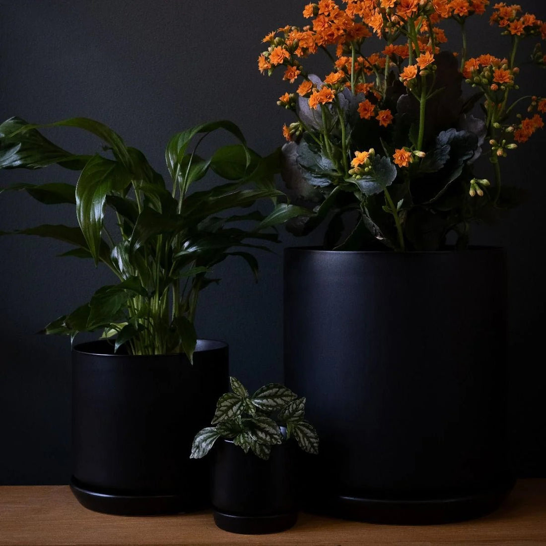 Oslo Planter - Black, Large - The Flower Crate