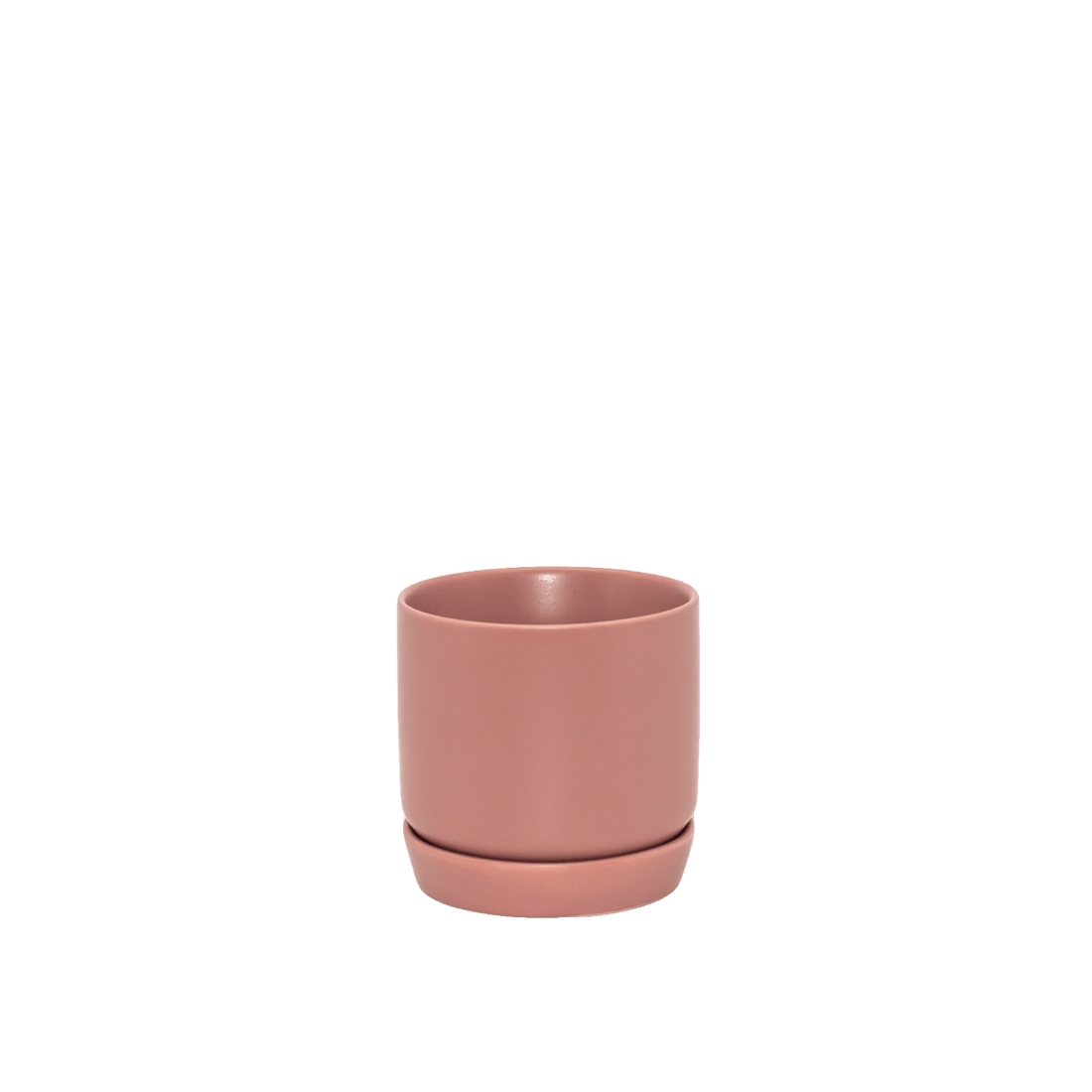 Oslo Planter - Rose, Mini - The Flower Crate