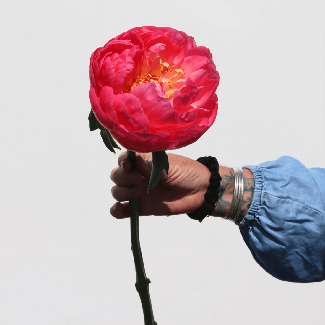 PEONIES - The Flower Crate