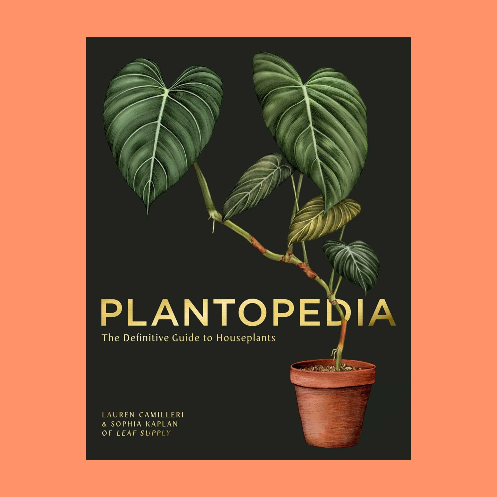 Plantopedia - The Flower Crate
