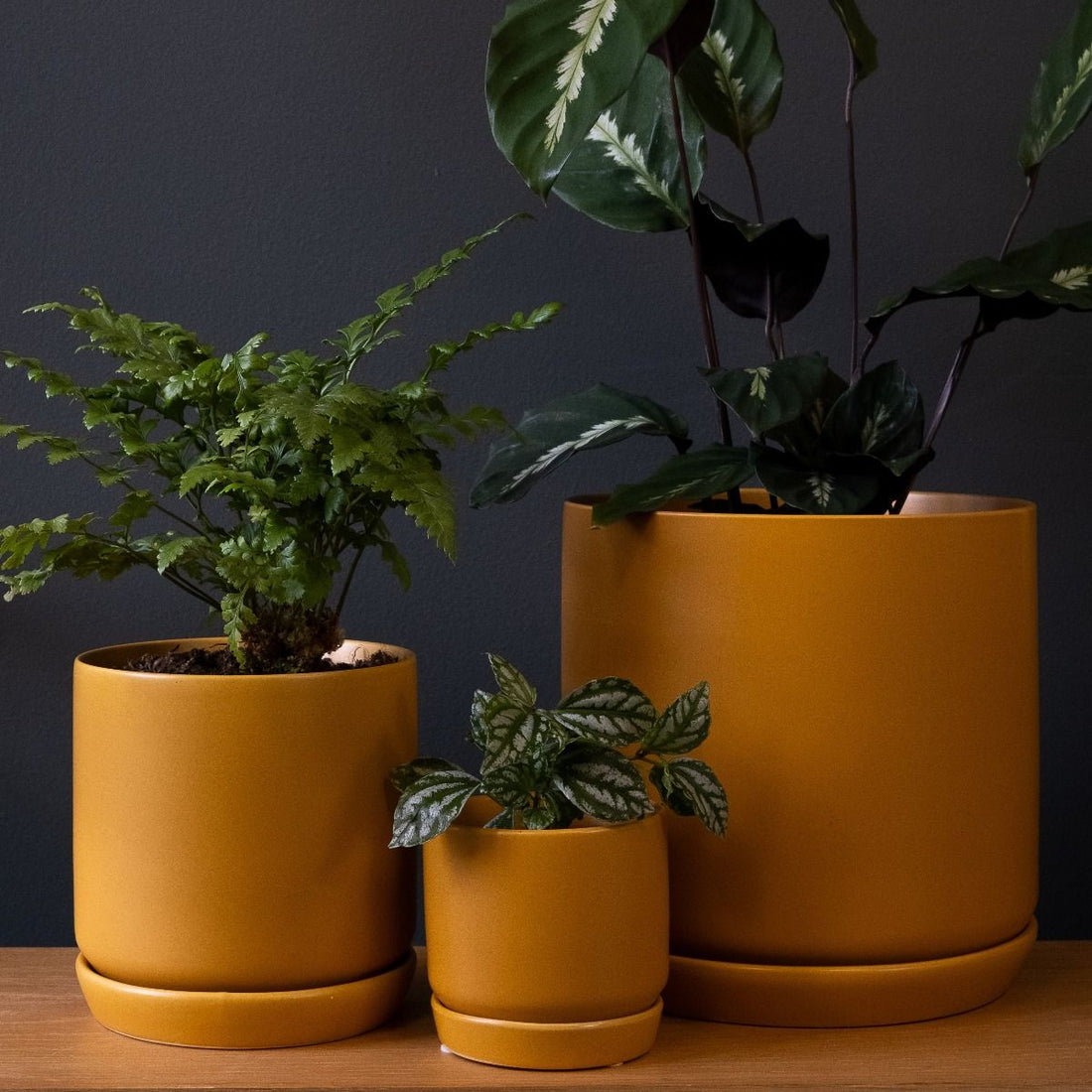 Potted - Large Oslo Planter, Tobacco - The Flower Crate