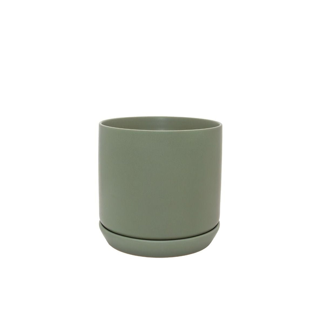 Potted - Medium Oslo Planter, Eucalypt - The Flower Crate