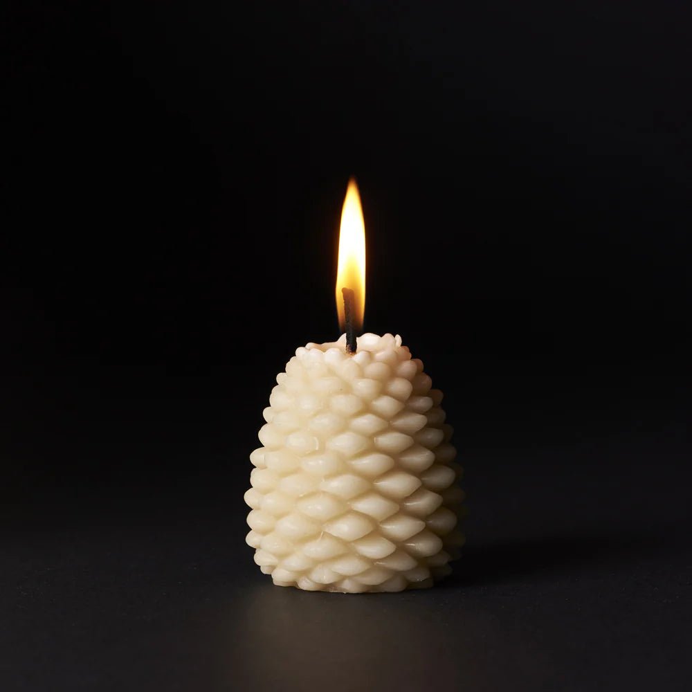 Queen B - Large Pine Cone Candle - The Flower Crate