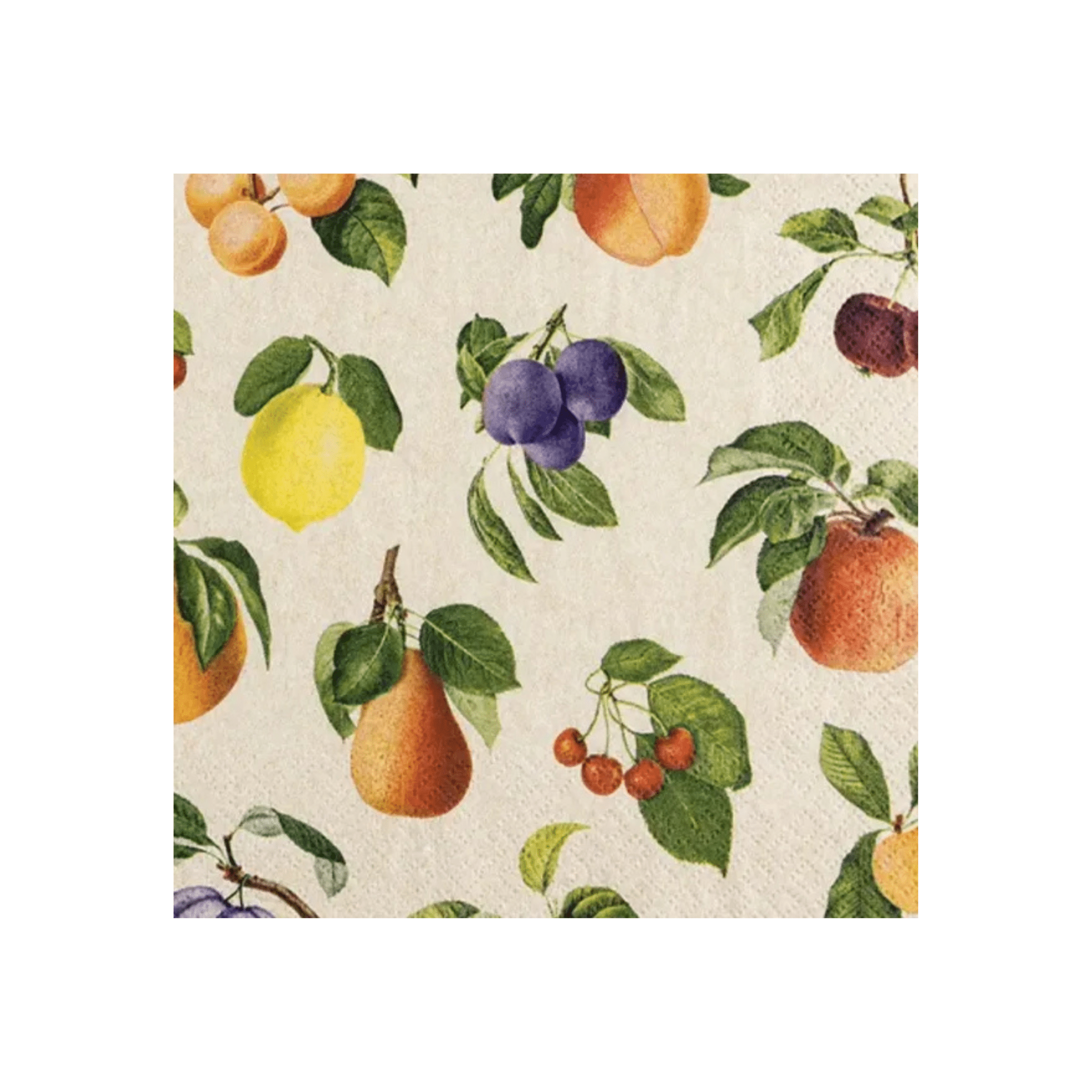Recycled Paper Napkins - Fruit Lovers - The Flower Crate