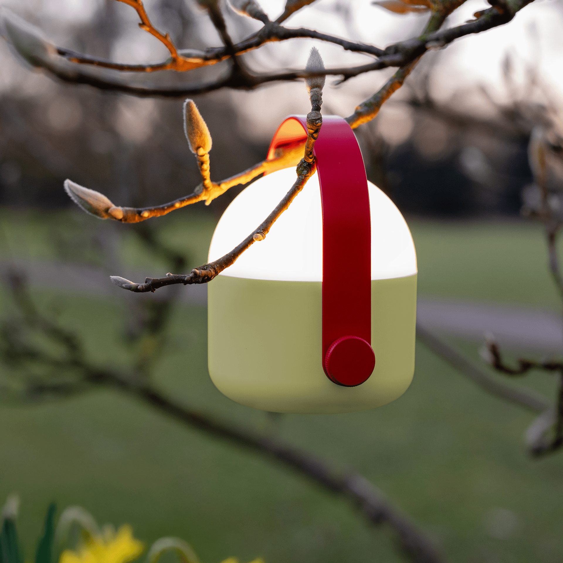 Remember - Light Ole - The Flower Crate
