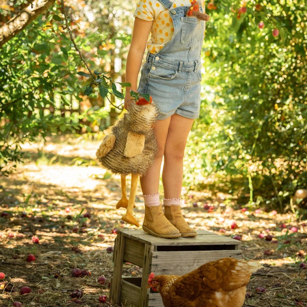 Rupert The Rooster - The Flower Crate