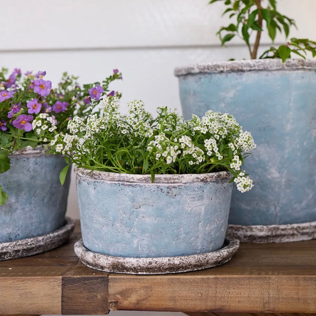 Sea Blue Wide Plant Pot & Saucer - The Flower Crate