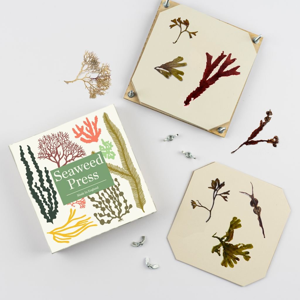 Seaweed Press - The Flower Crate