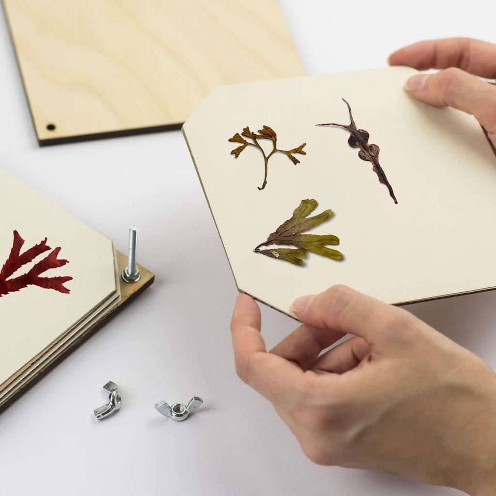 Seaweed Press - The Flower Crate