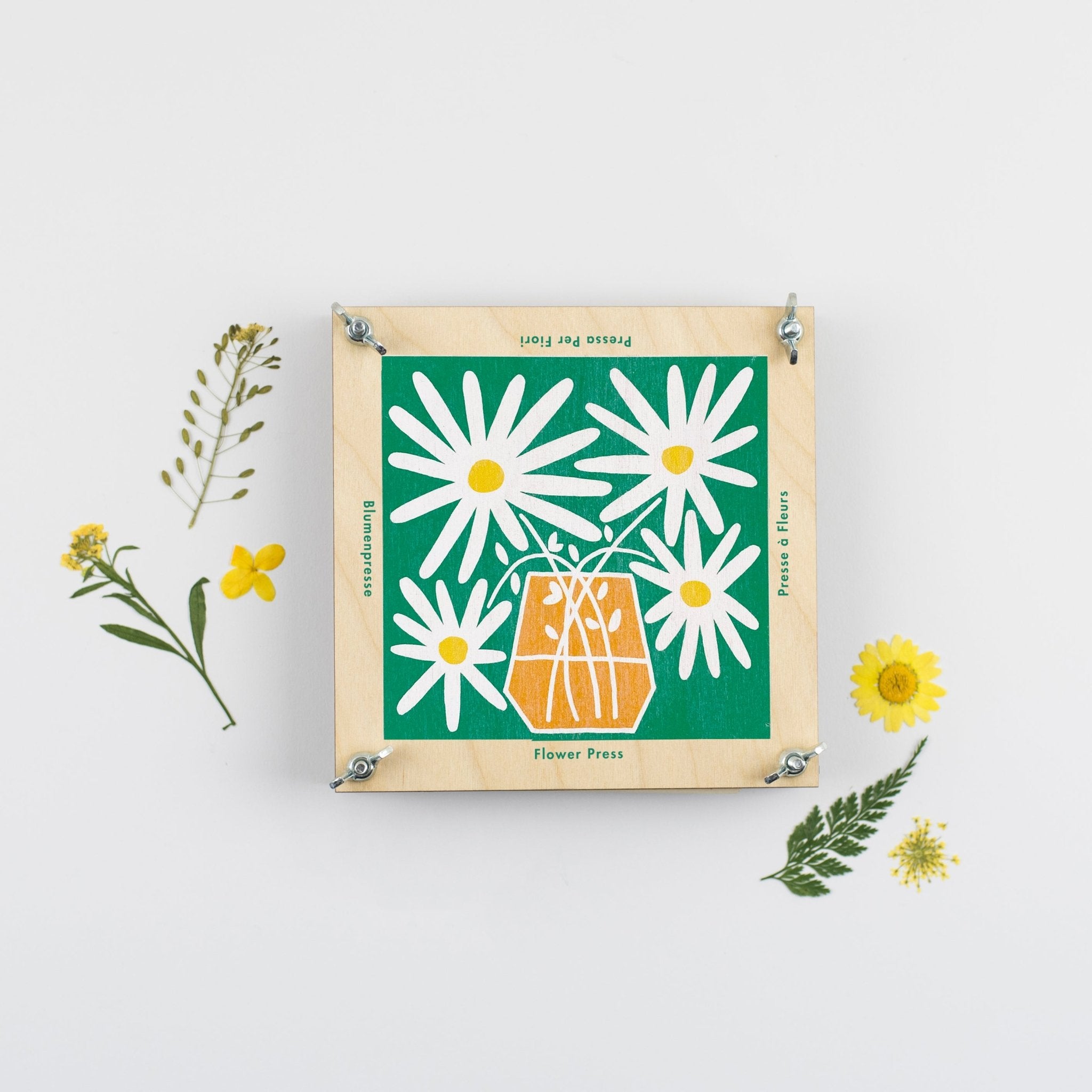 Studio Wald - Daisy Flower Press - The Flower Crate