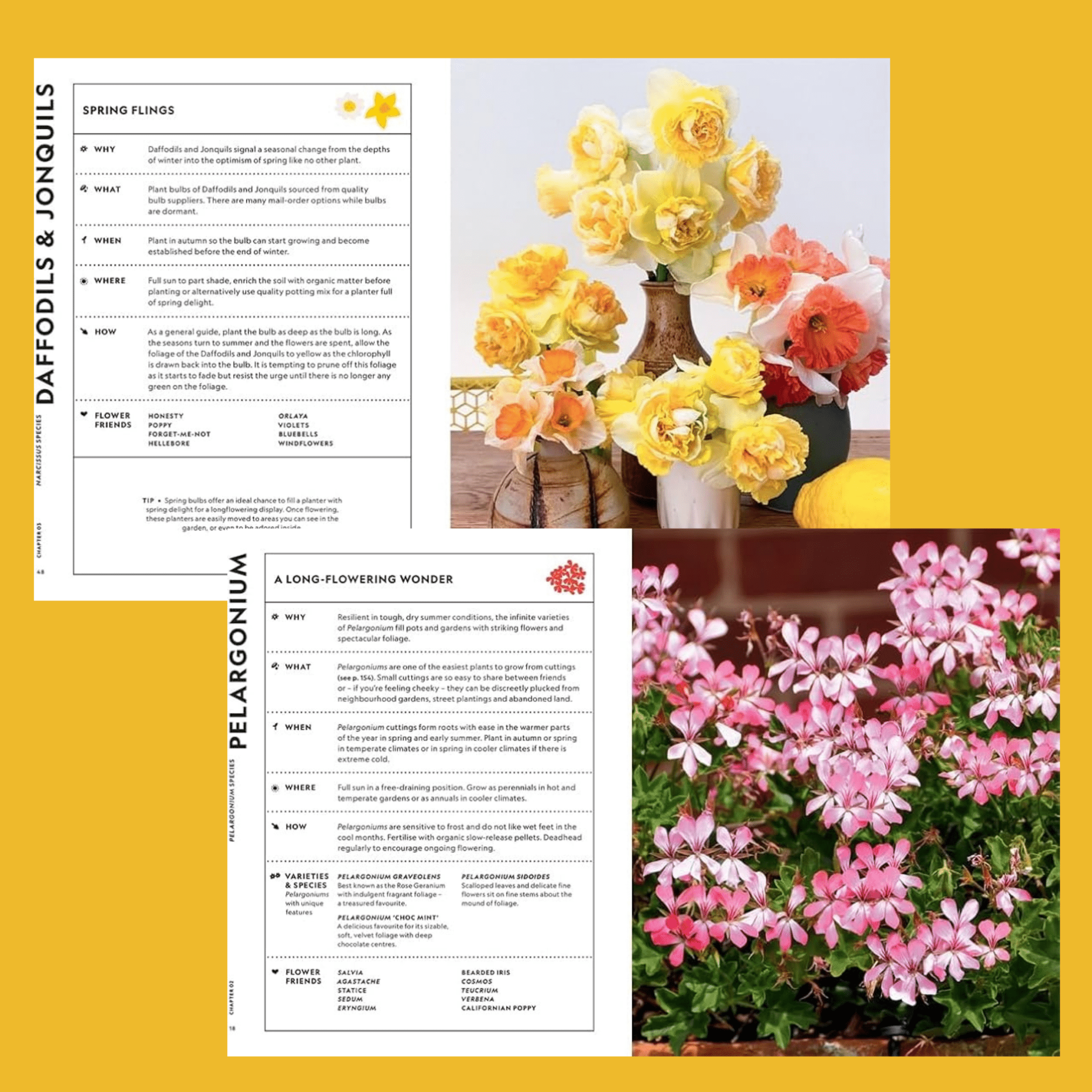 Super Bloom Handbook - The Flower Crate