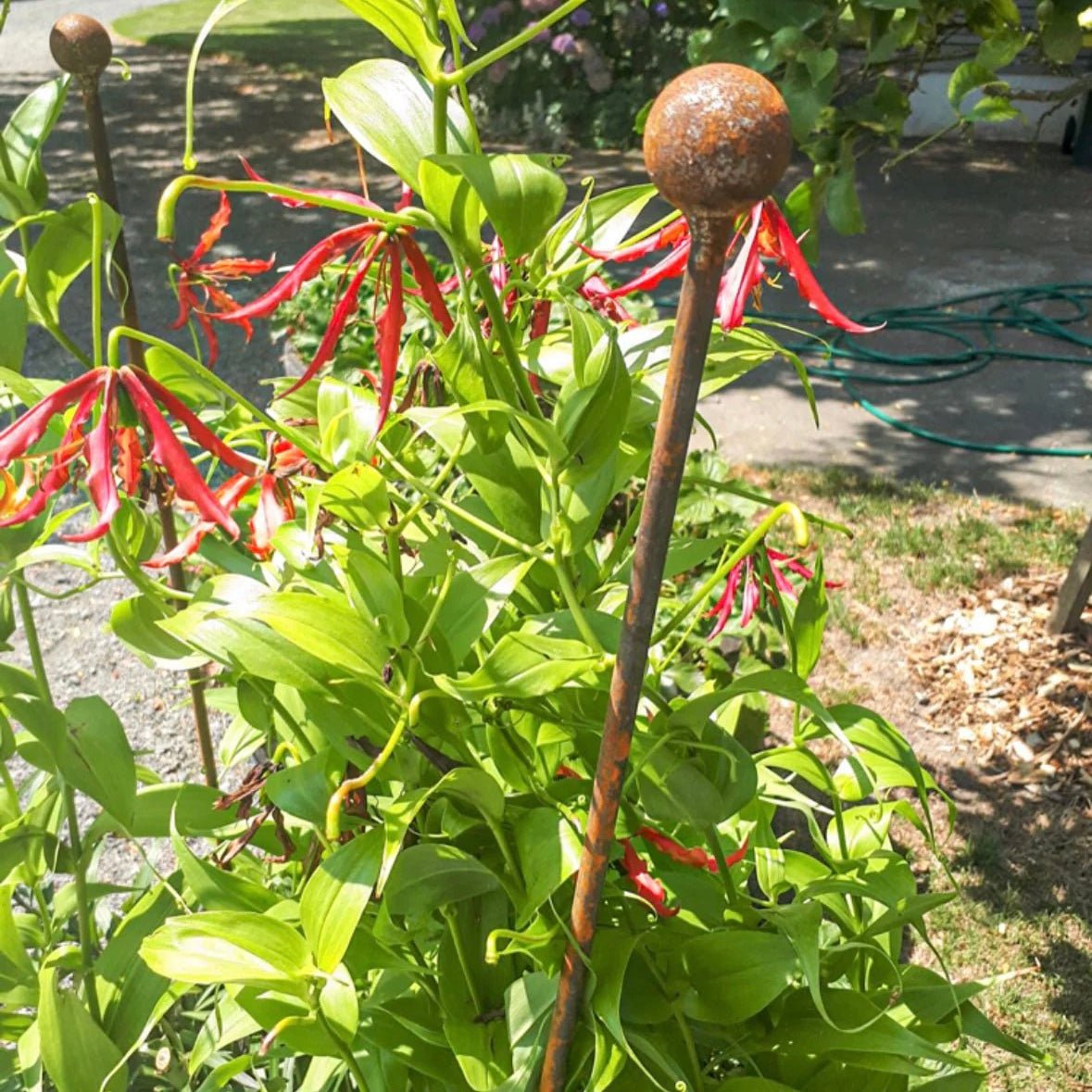 Terrascape Heritage Plant Supports - Rod & Ball - The Flower Crate
