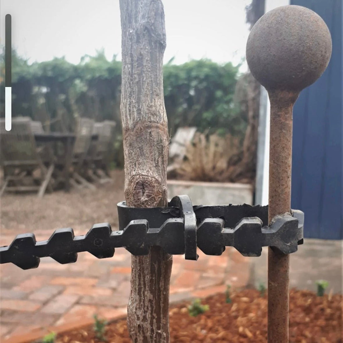 Terrascape Heritage Plant Supports - Rod & Ball - The Flower Crate