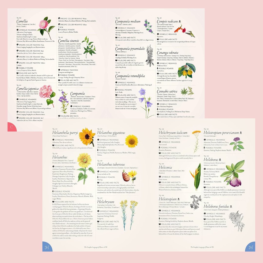 The Complete Language of Flowers (Gift Edition) - The Flower Crate
