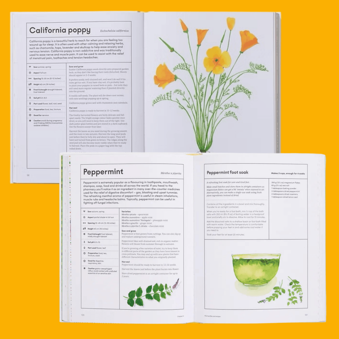 The Medicinal Garden - The Flower Crate