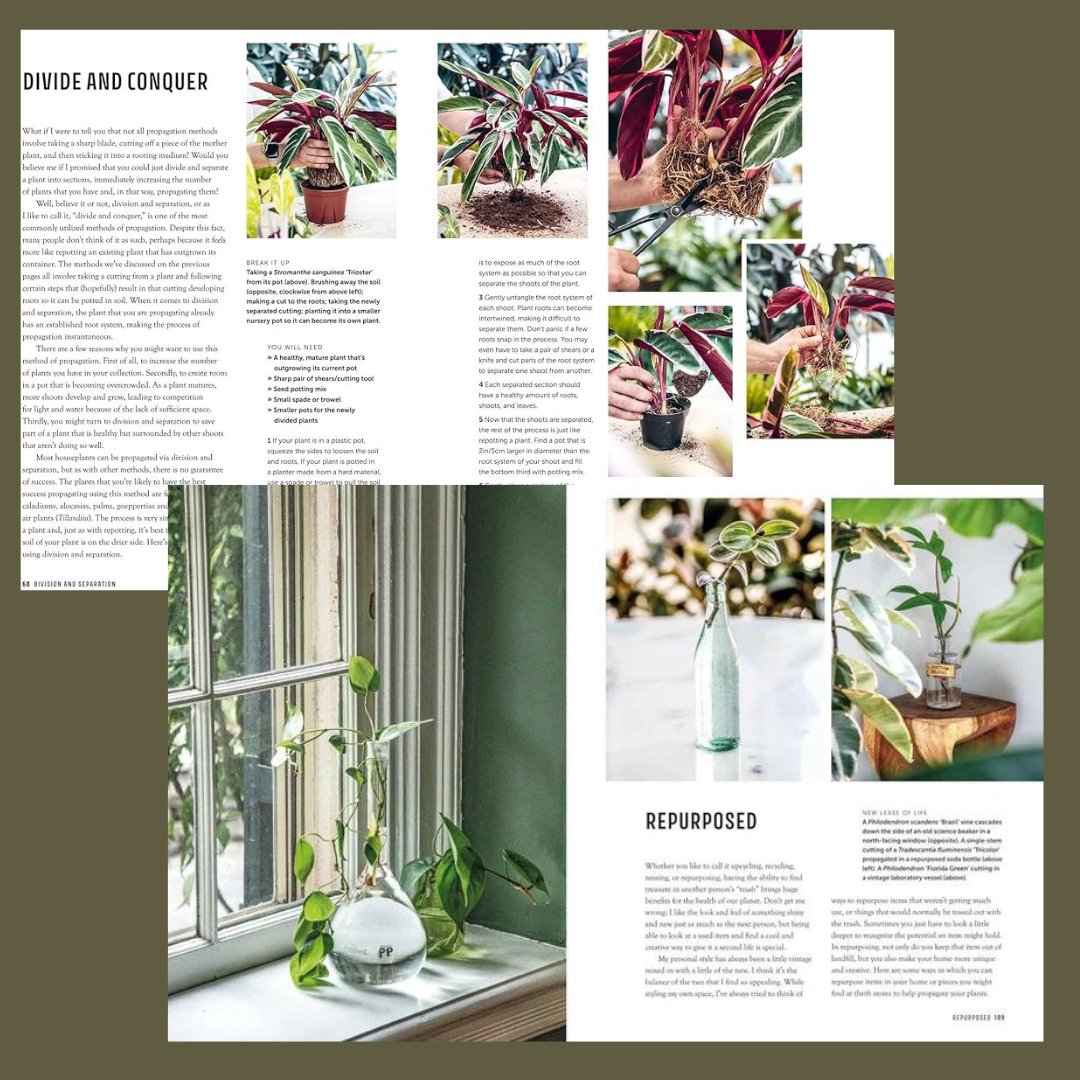 The Propagation Handbook - The Flower Crate