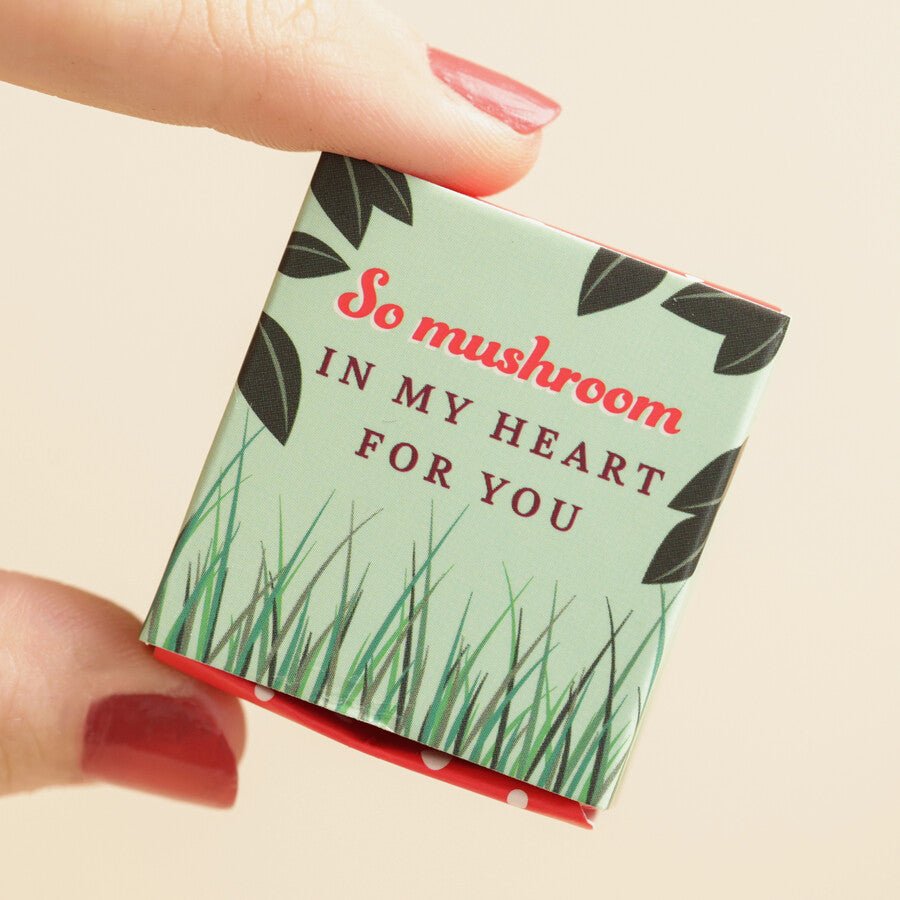 Tiny Matchbox Ceramic Mushroom Token - The Flower Crate