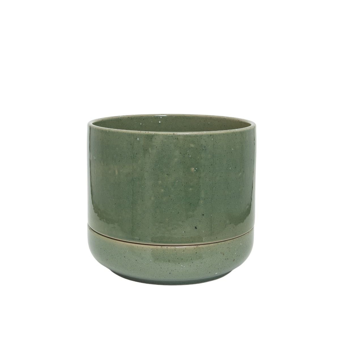 Troy Self Watering Planter, Medium Agave - The Flower Crate