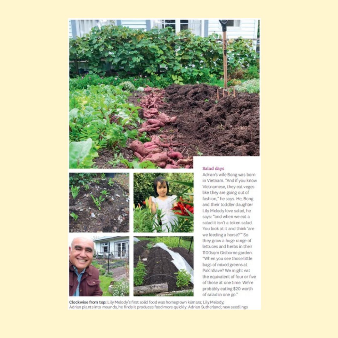 Vege Patch From Scratch - The Flower Crate