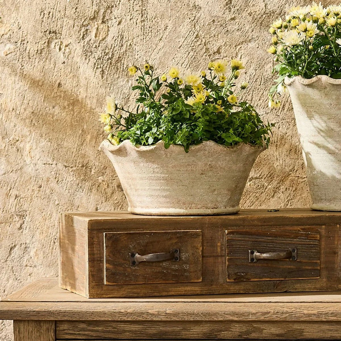 Wavy Planter - The Flower Crate