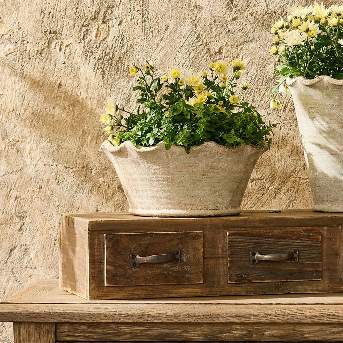 Wavy Planter - The Flower Crate