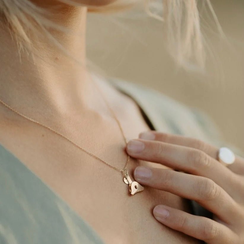 Whistle & Pop - High Country Dainty Whistle Necklace - The Flower Crate