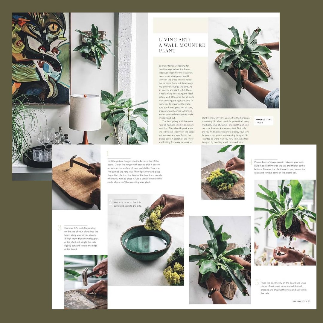 Wild Creations - Hilton Carter - The Flower Crate