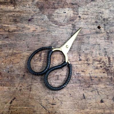 Brass Flower Snips