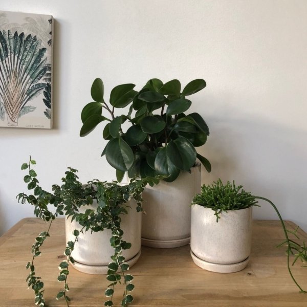 Oslo Sandstorm Medium Planter