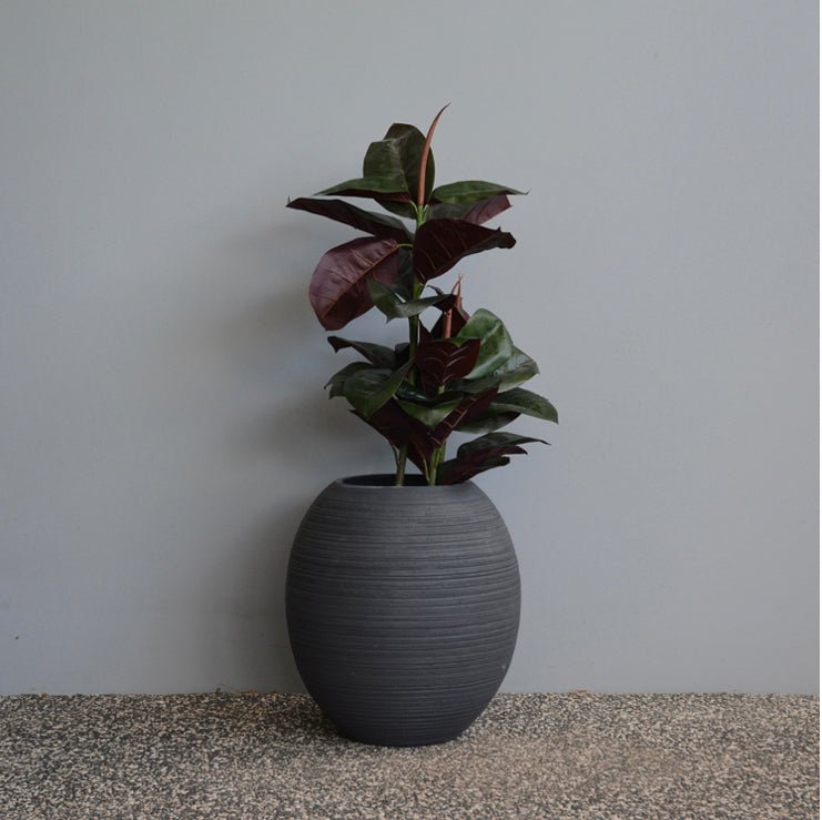 Adler Planter Pot - The Flower Crate