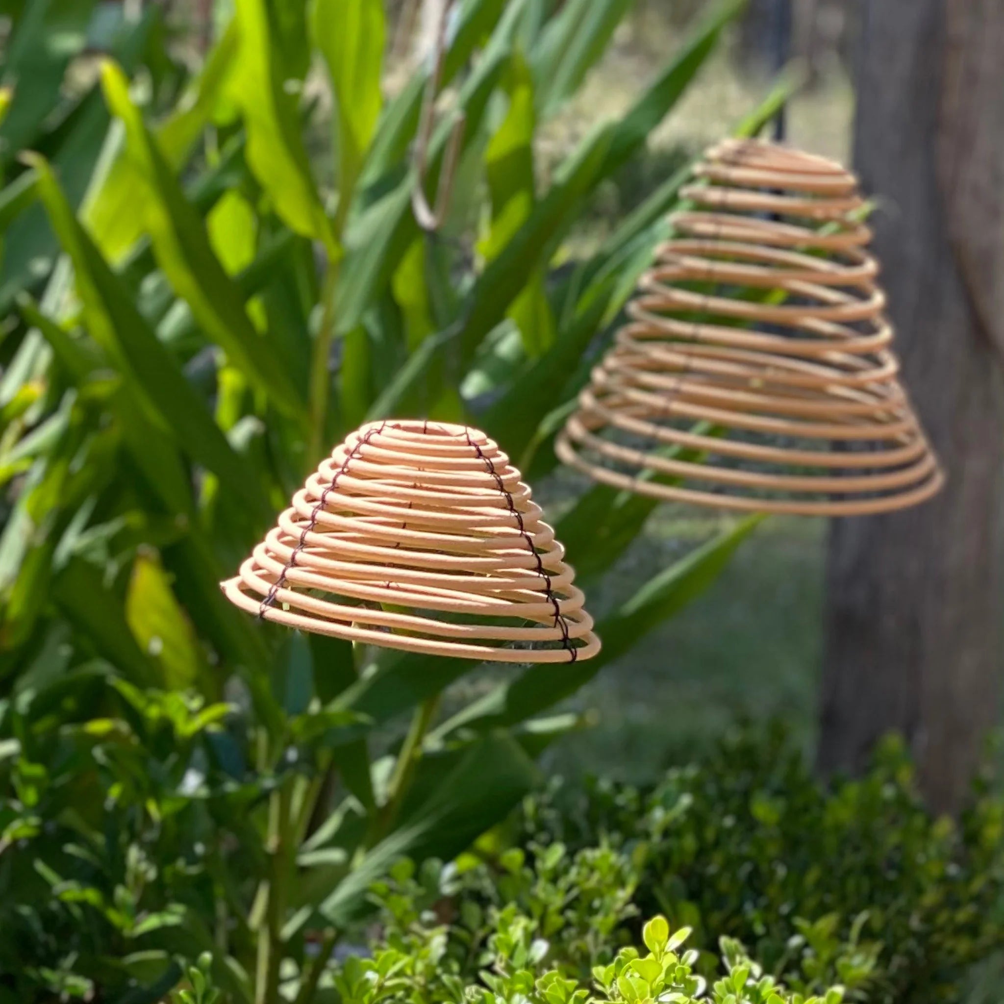 Citronella Hanging Chandelier - The Flower Crate