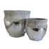 Cleopatra Cream & Silver Planter - The Flower Crate