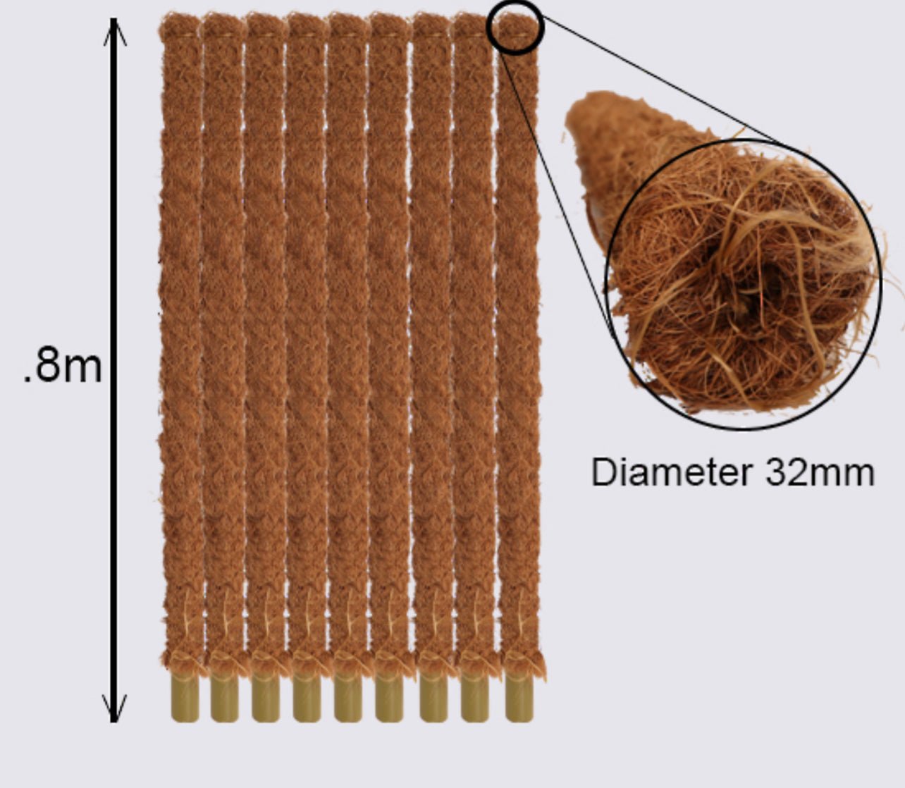 Coir Plant Support Pole no - The Flower Crate