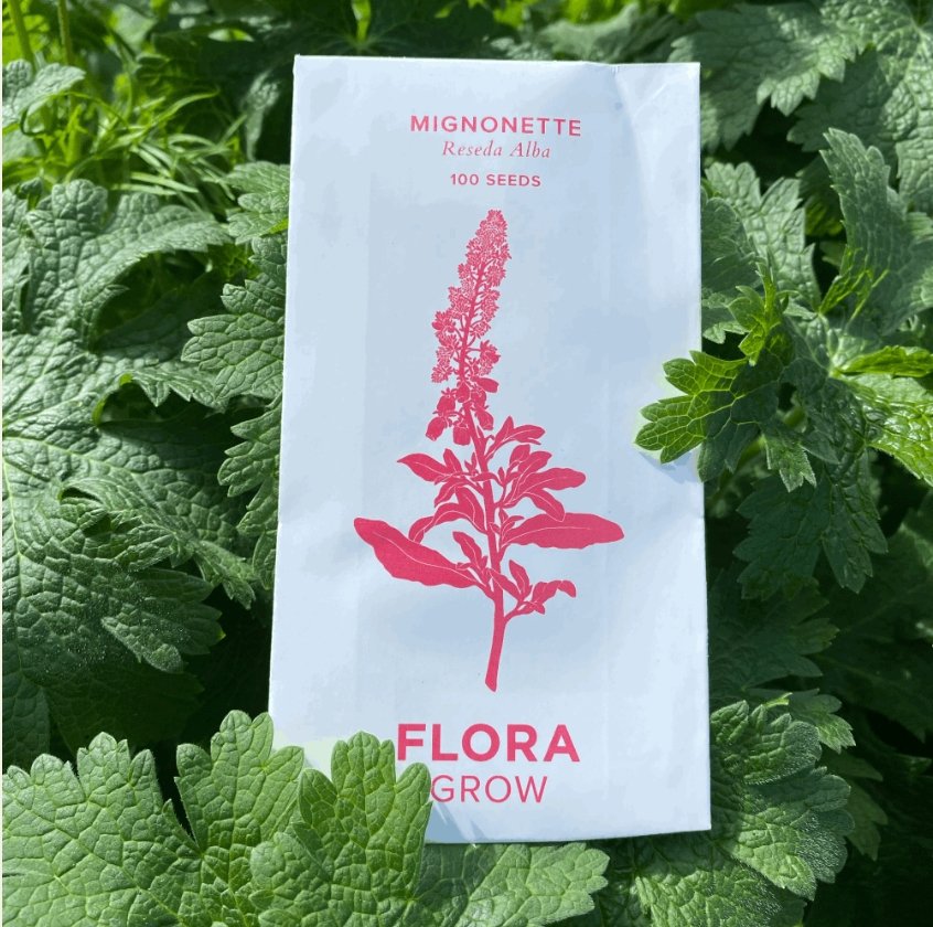 Flora Grow Seeds - Mignonette - The Flower Crate