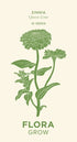 Flora Grow Seeds - Zinnia - The Flower Crate