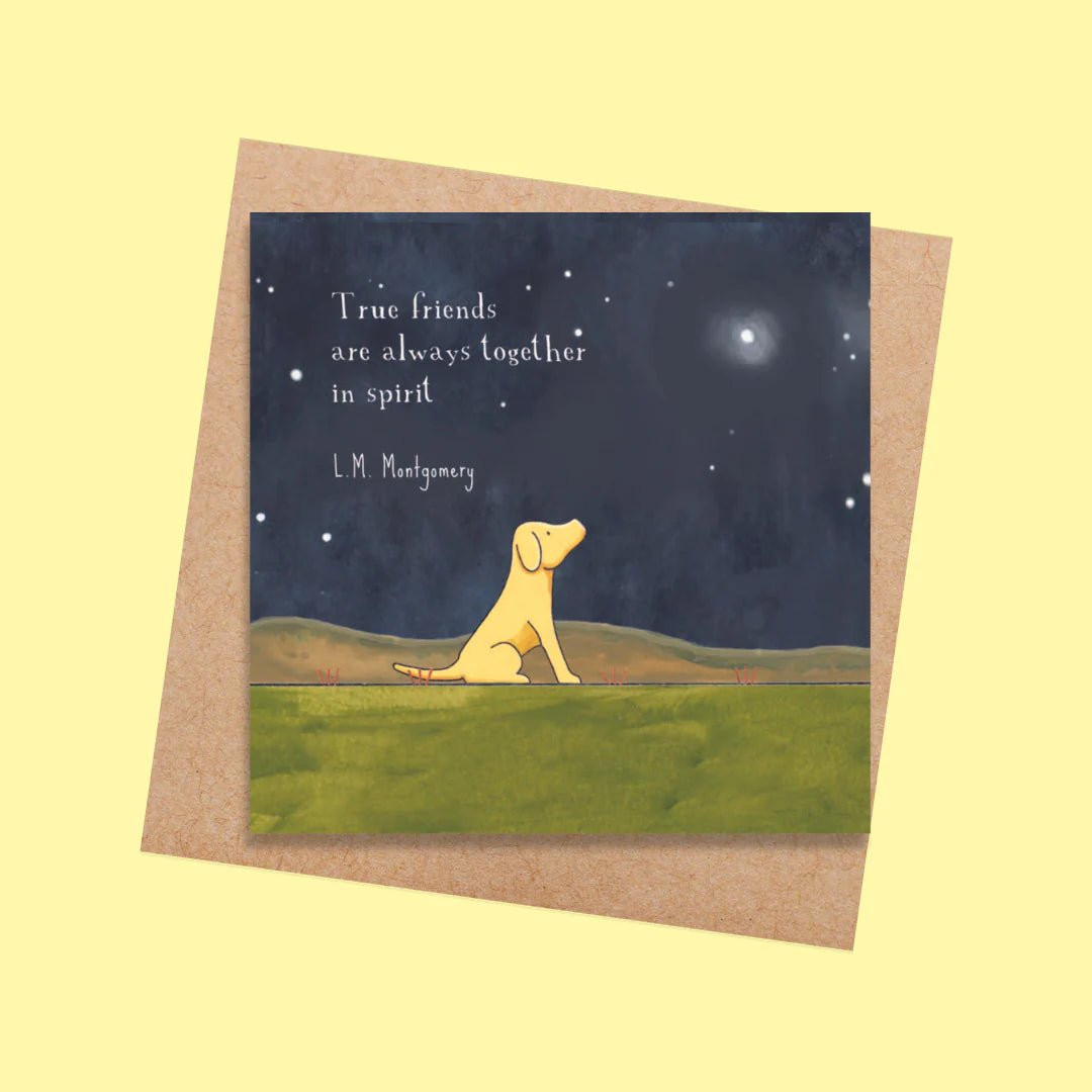 Friendship Cards by Red Tractor - The Flower Crate