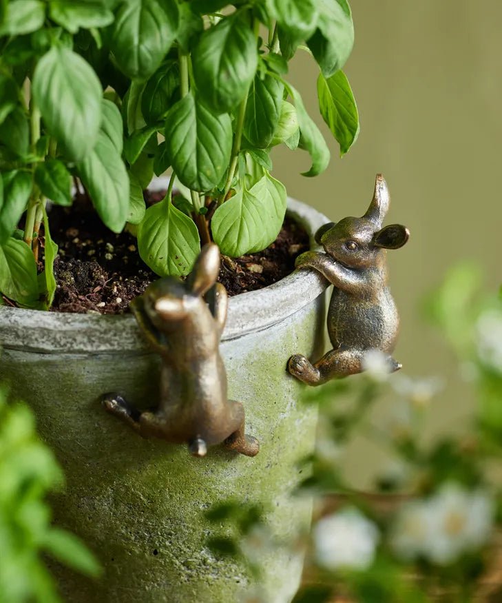 Hanging Bunny - The Flower Crate